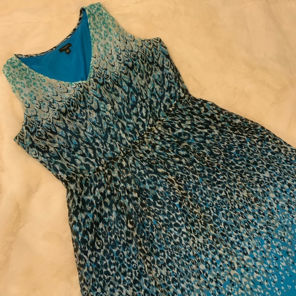 Woman’s Ann Taylor Dress - Size 14 Tall